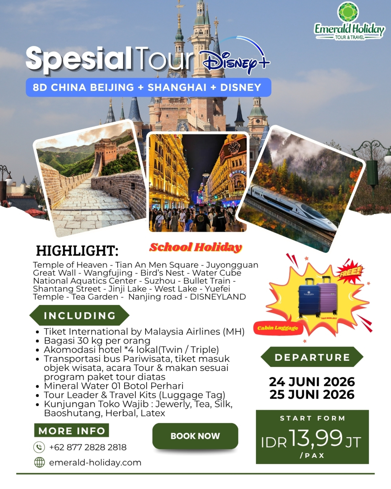 SPECIAL TOUR DISNEY